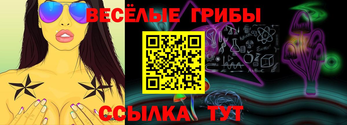 Псилоцибиновые грибы прущие грибы Электрогорск